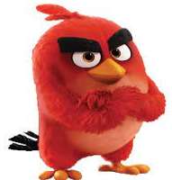 He has also done several voice roles, including the voice of Red in The Angry Bird Movie.
